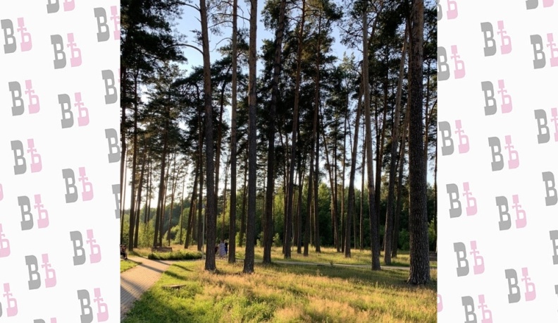 Обстановка в лесах и на воде в Калужской области остается под контролем