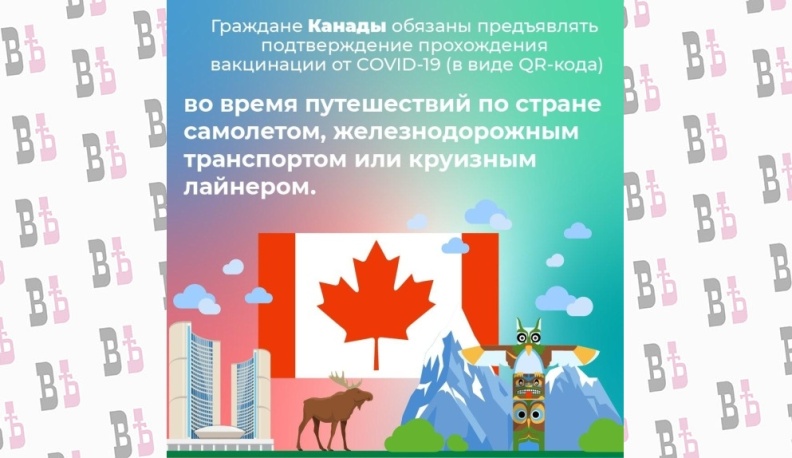 Куда можно пойти с QR-кодом в разных странах мира?