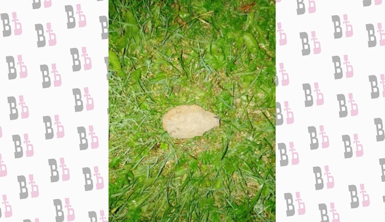 В трех районах Калужской области нашли боеприпасы времен Великой Отечественной войны