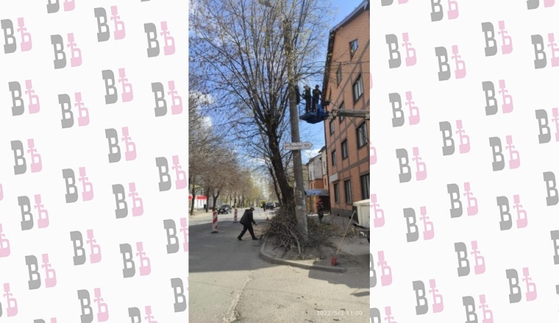 В Калуге на улице Тульской завершилась обрезка разросшихся деревьев