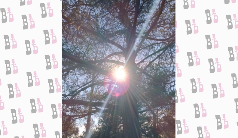 В Калуге к концу недели ожидается потепление