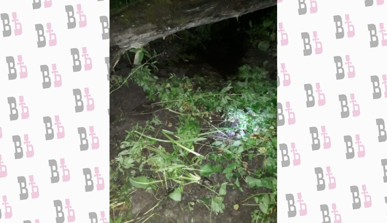 Убийцы спрятали труп в болоте под Медынью