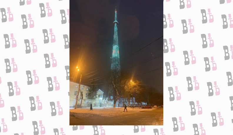 Калужская область участвует в акции «Сохрани лес»