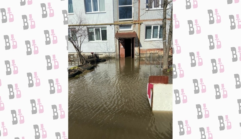 Прокуратура проверит причину подтопления домов в Шопино