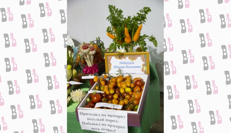 В калужском Доме народного творчества и кино «Центральный» открылась выставка даров сада и огорода