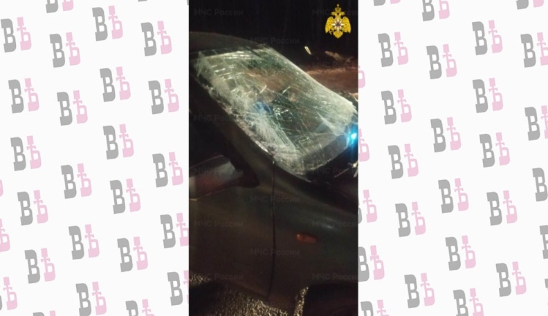 В Калужской области в ДТП пострадал водитель «Лады» из-за выезда на встречку