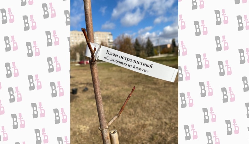 Саженцы дружбы и единения