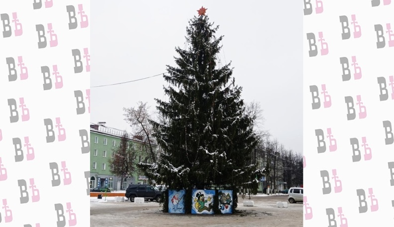 В Людинове установили и готовятся наряжать главную городскую елку