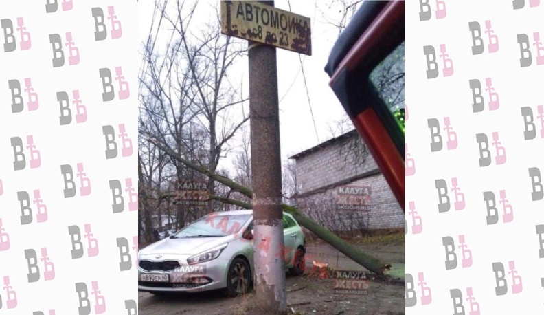 В Калуге дерево упало на машину