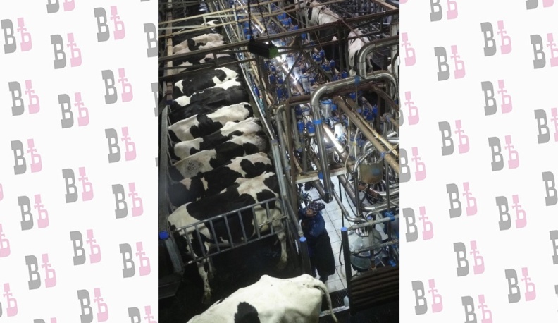 «Москва»... Как много в этом звуке!