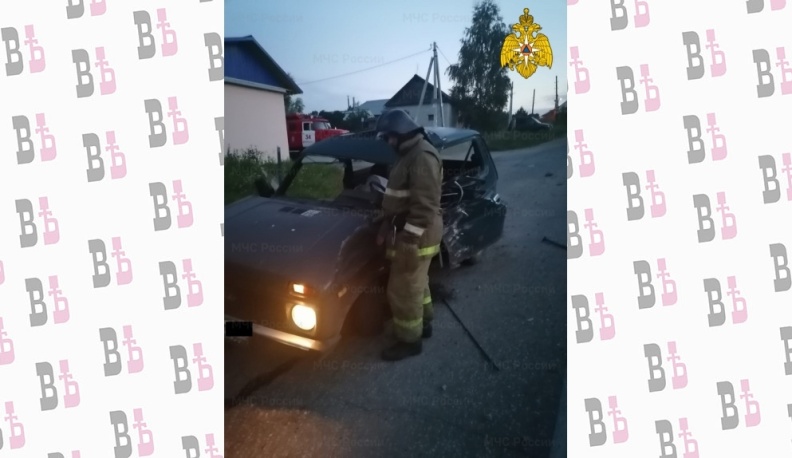 В Малоярославецком районе «Нива» врезалась в дерево