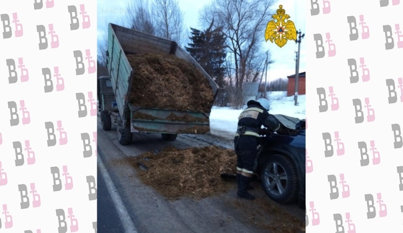 В Перемышльском районе "Лексус" влетел в грузовик с навозом, пострадал водитель