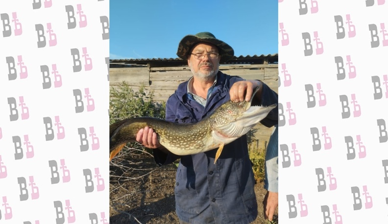 Генетический код