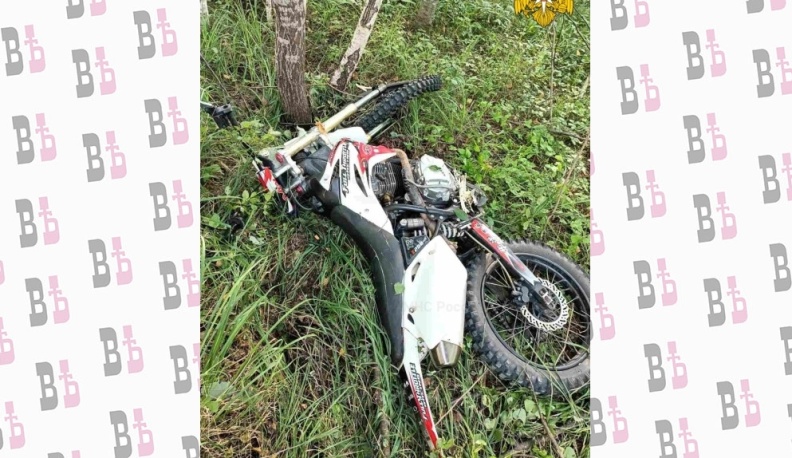 В Калужской области мотоциклист влетел в дерево