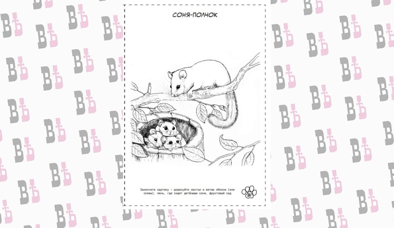 Калужане могут бесплатно скачать детскую Красную книгу-раскраску