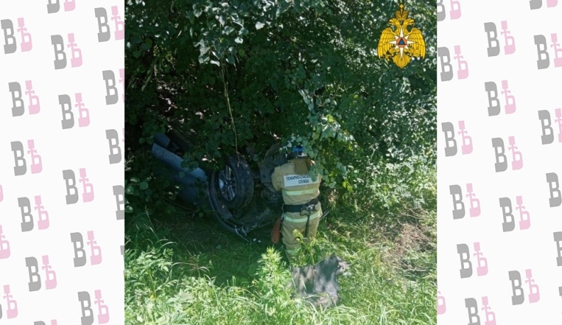 В ДТП в Сухиничском районе пострадал человек