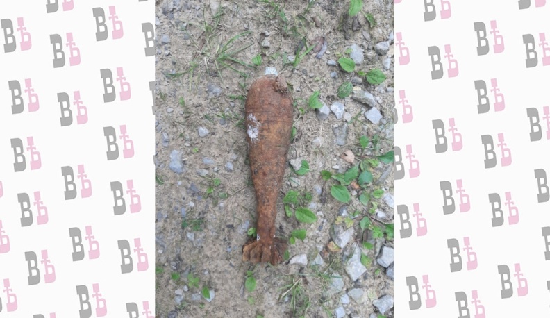 В Калужской области обезвредили четыре минометные мины