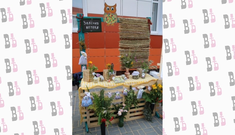 Успешный дебют