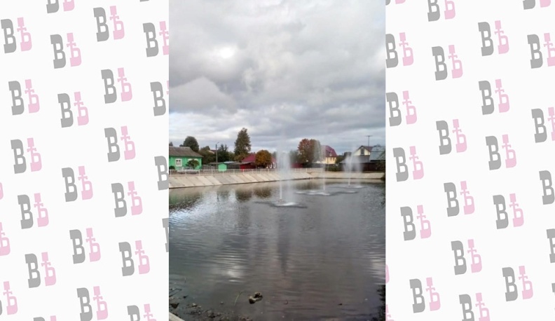 У глади старинного пруда