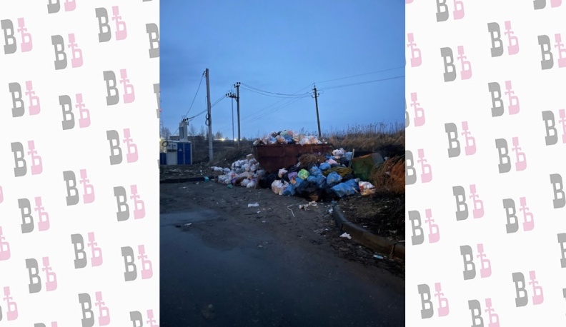 В Козельске убрали свалку мусора по жалобе местных жителей в соцсетях