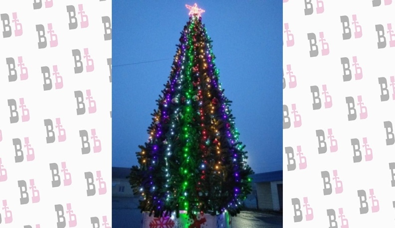 И вот она, нарядная…