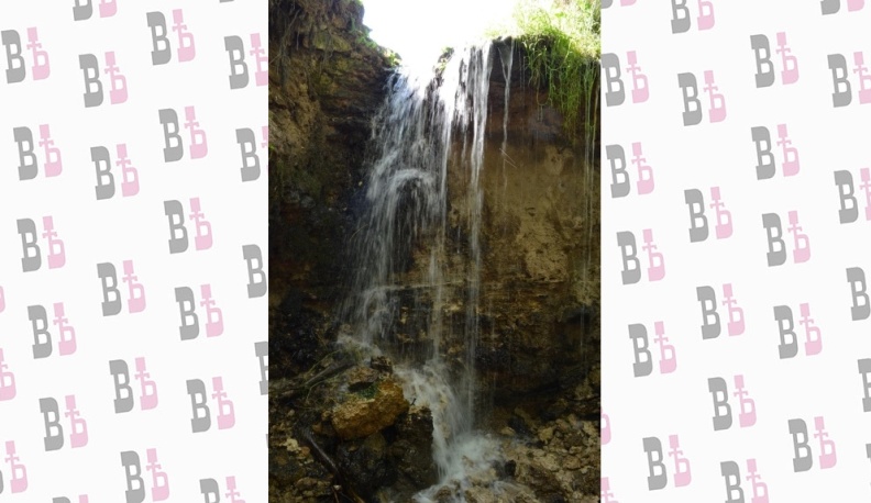 В Жуковском районе – новый памятник природы