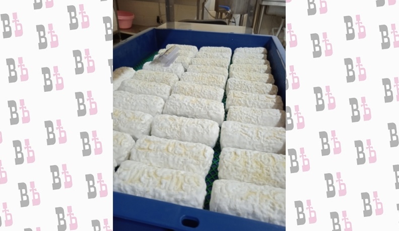 Жители Медынского района открыли семейную сыроварню благодаря соцконтракту