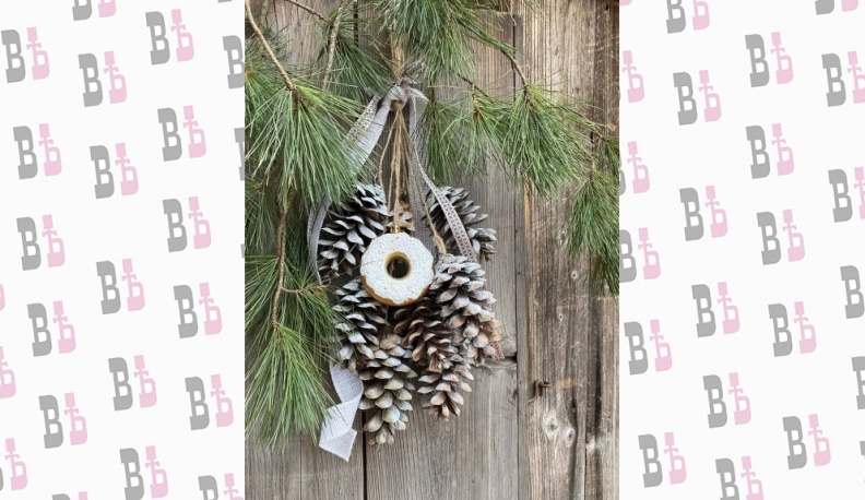 В Тарусе изготовят новогодние украшения из шишек румелийской сосны