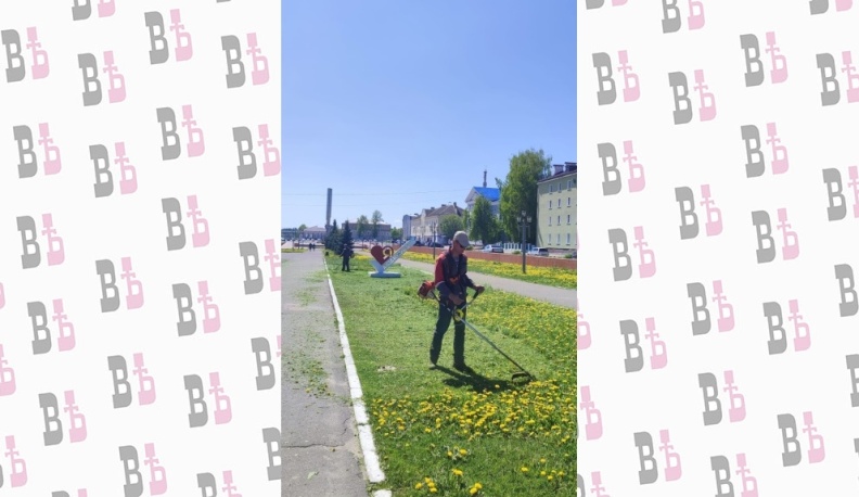 В Людинове началось окашивание травы в парках на газонах и обочинах