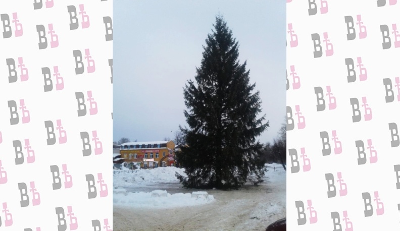 В центре Людинова установили Новогоднюю ёлку