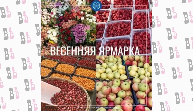В Обнинске 28 марта пройдет весенняя сельскохозяйственная ярмарка