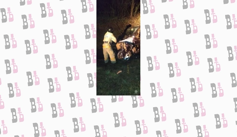 В Медынском районе иномарка вылетела в кювет