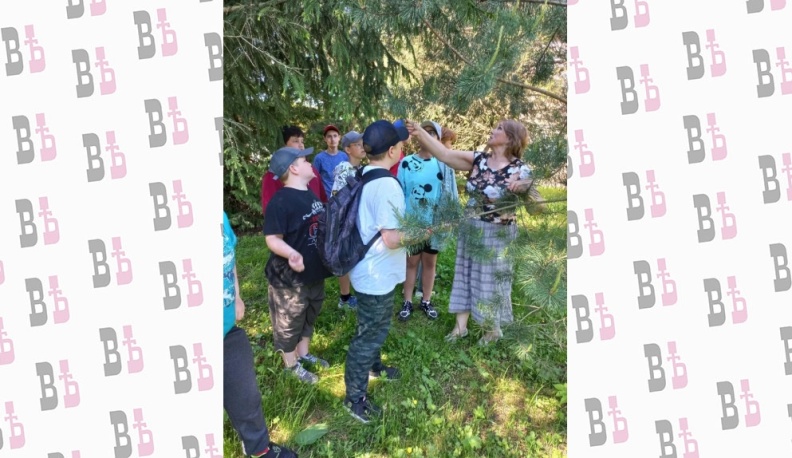 Защитники леса