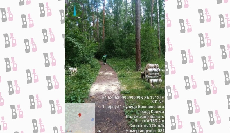 В калужском бору расчистили тропы от поваленных деревьев