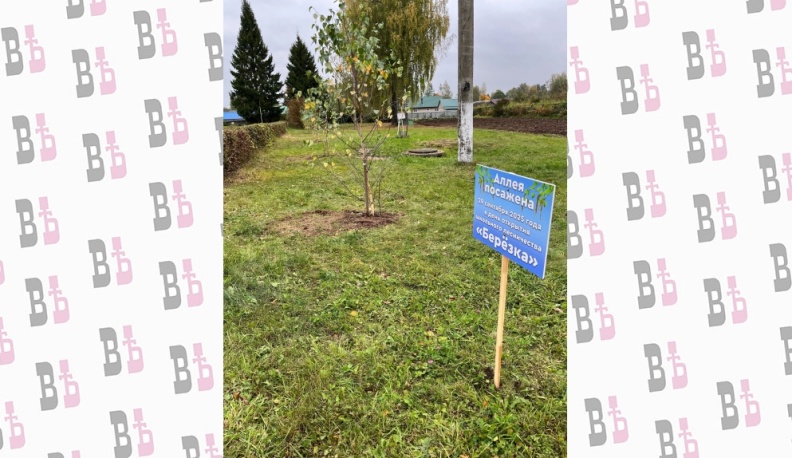 В Сухиничском районе появилось школьное лесничество