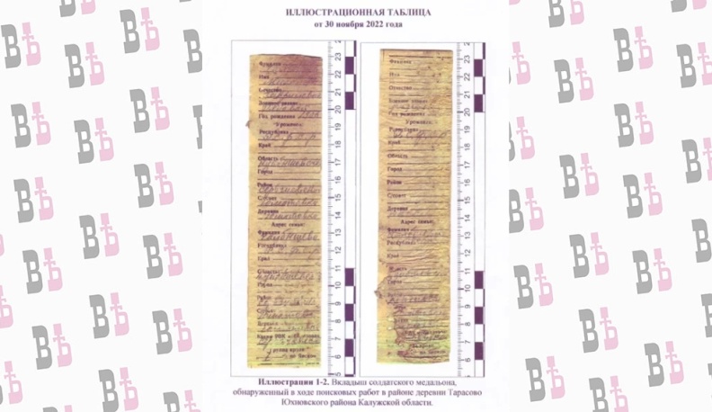 И превратились в белых журавлей…