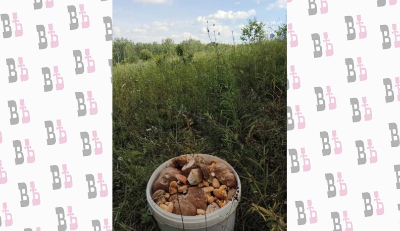 Добыча к экспедиционному столу.