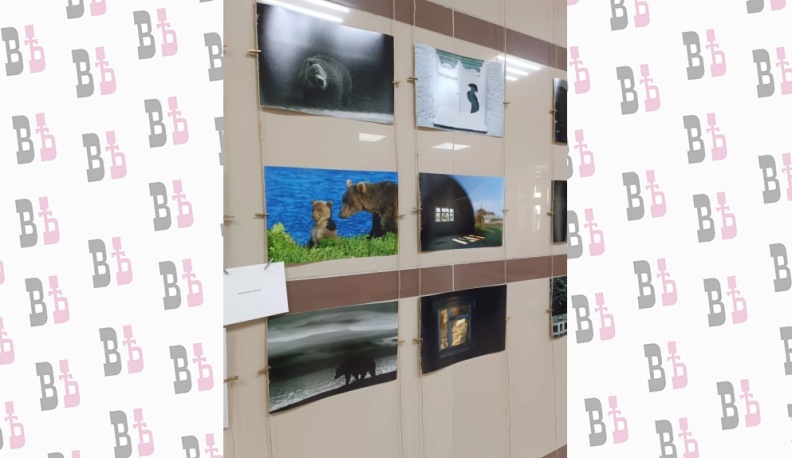 В Медыни открылась масштабная фотовыставка