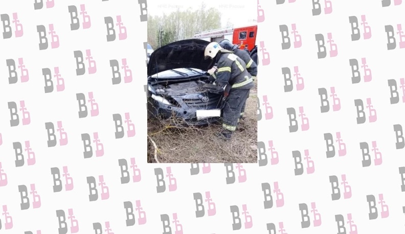 В Калужской области «Тойота» влетела в дерево