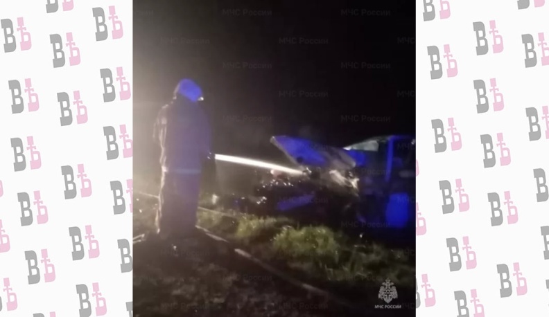 В Жиздринском районе столкнулись «Ауди» и «Шкода»