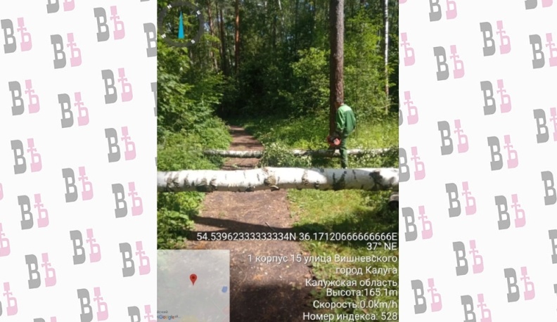 В калужском бору расчистили тропы от поваленных деревьев