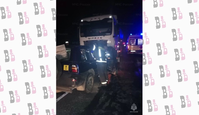 В Калужской области в ДТП с фурой пострадал человек