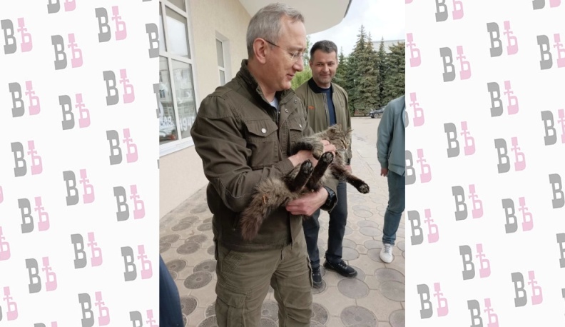 «Тут наши товарищи и братья»