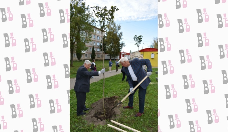 К 280-летию города в Кирове высадили аллею красных клёнов