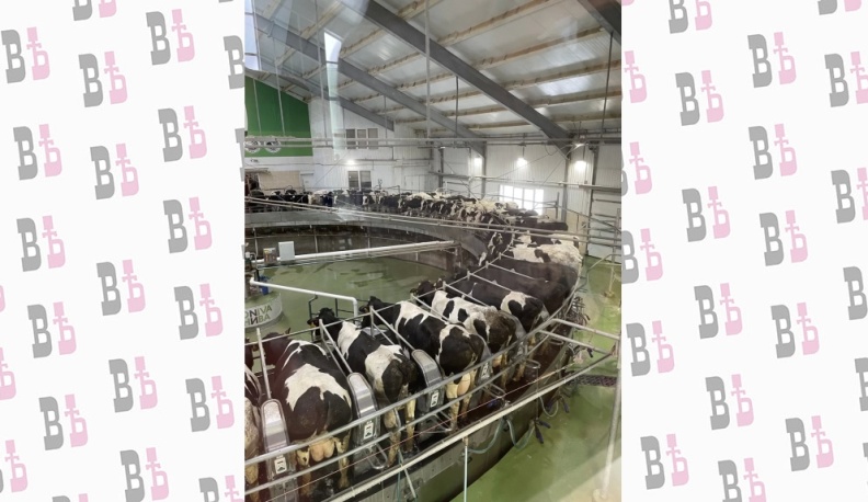 Вперёд к рекорду!