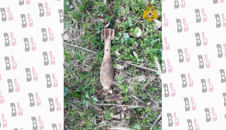 В Калужской области саперы обезвредили 13 снарядов и миномётную мину