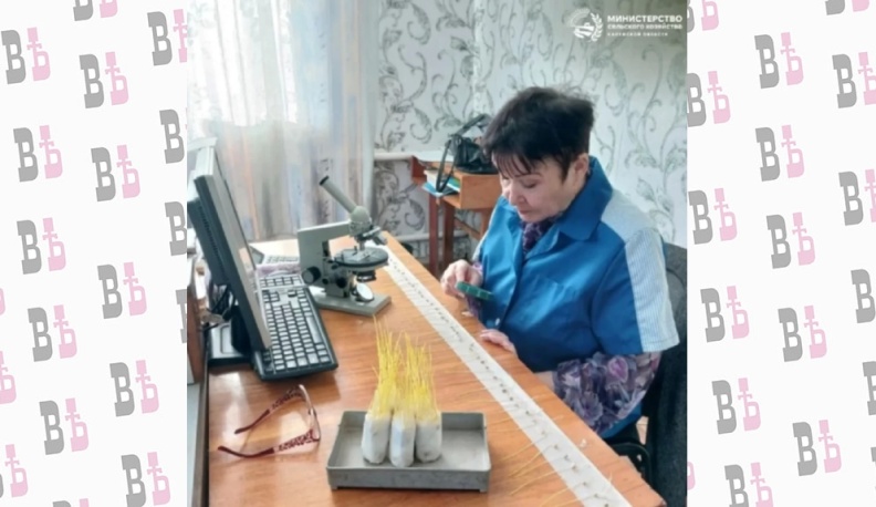 Минсельхоз рекомендует калужским аграриям провести фитоэкспертизу семян перед посевной