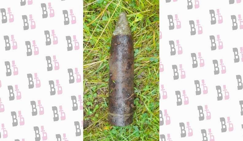 В Ульяновском районе саперы обезвредили дюжину снарядов