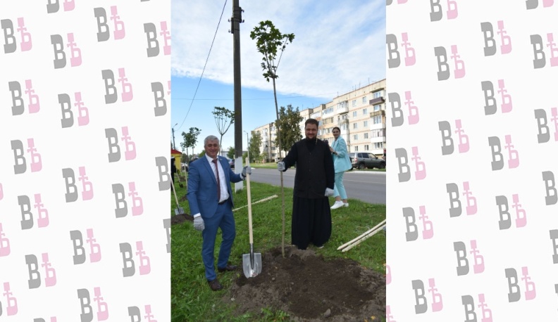 К 280-летию города в Кирове высадили аллею красных клёнов