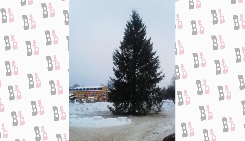 В центре Людинова установили Новогоднюю ёлку